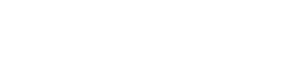 Private Forensic